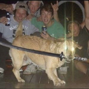 Meet your Posher, William